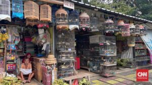 Pedagang Barito Meradang Relokasi Terburu-Buru?
