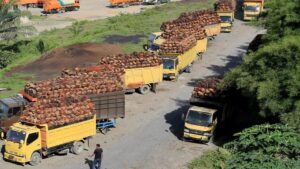 Wagub Aceh Beri Kejutan Sopir Truk!