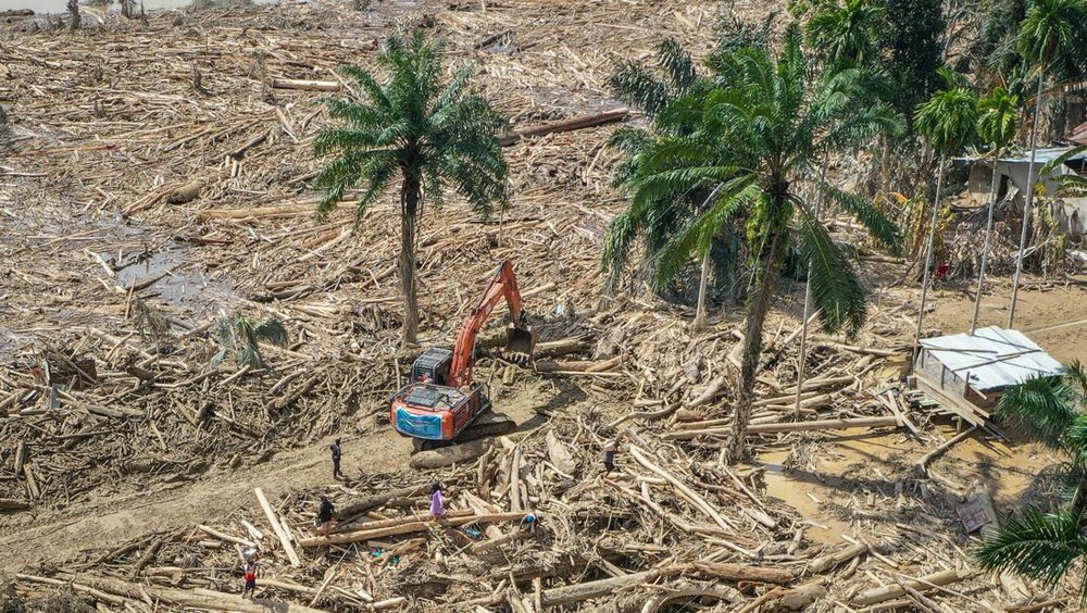 Terkuak Solusi Cerdas Pemanfaatan Kayu Banjir Sumatra