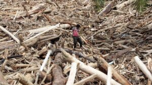 DPR Bentuk Tim Khusus Usut Alih Fungsi Lahan!