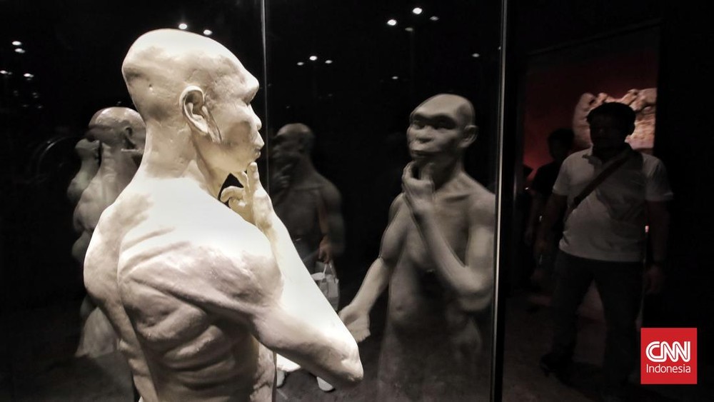 Fosil Java Man Kembali Guncang Dunia Arkeologi