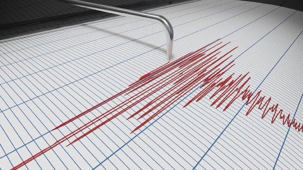 Gempa Kuat Guncang Kalimantan Barat Warga Terkejut