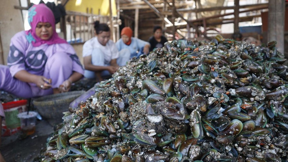 Jakarta Ubah Sampah Kerang Jadi Harta Karun