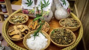 Ide Gila DPR Ganja Medis Solusi Ekonomi Narkoba