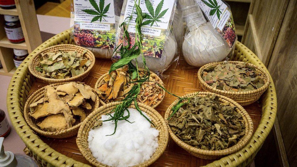 Ide Gila DPR Ganja Medis Solusi Ekonomi Narkoba