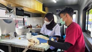 Kabar Gembira Pemilik Hewan Jakarta Wajib Tahu Ini